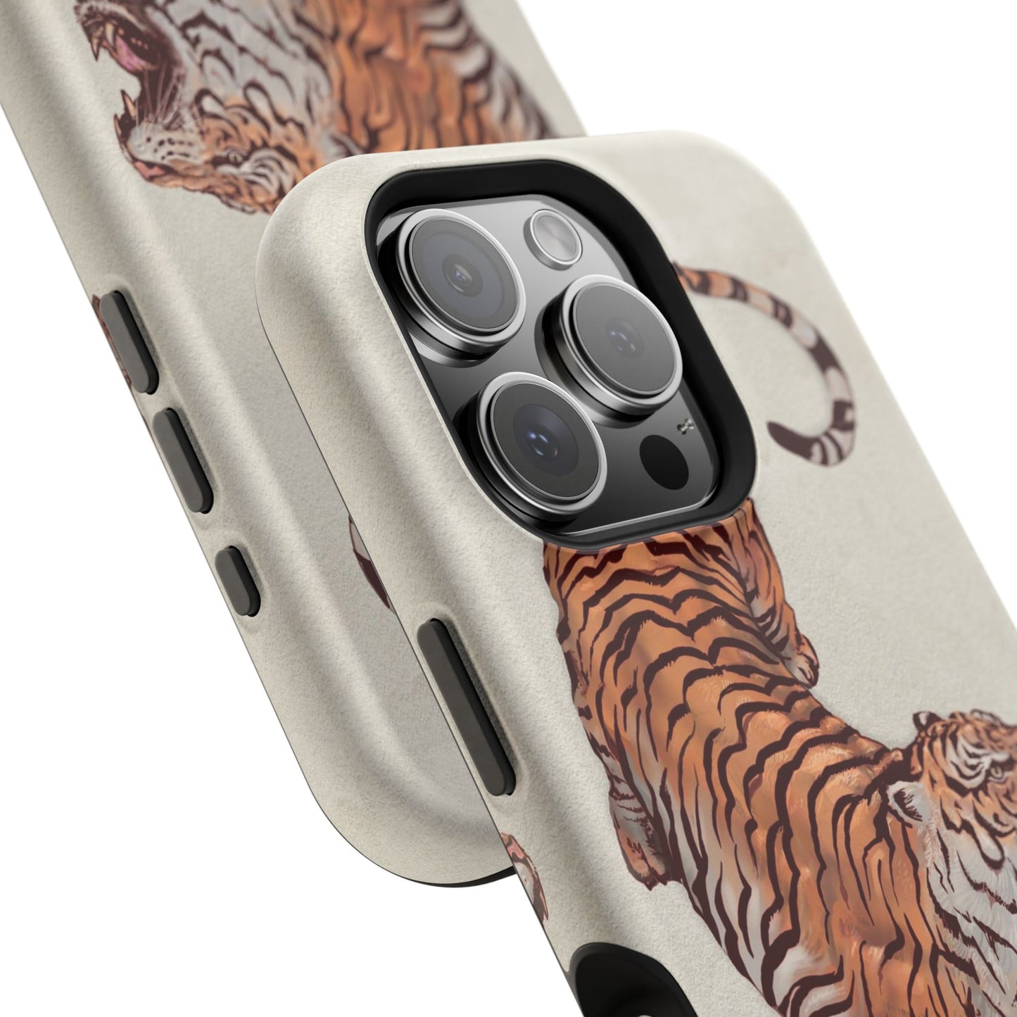 3ye of the Tiger Case