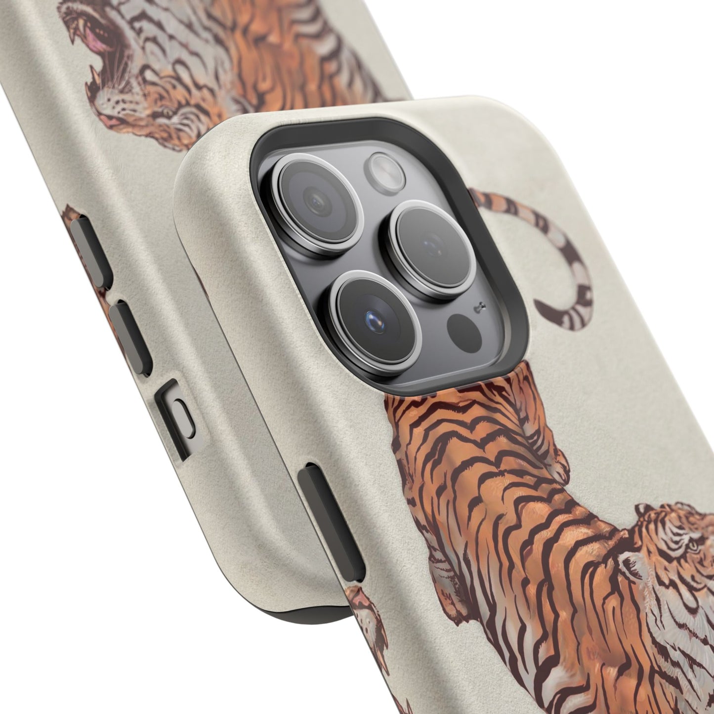 3ye of the Tiger Case