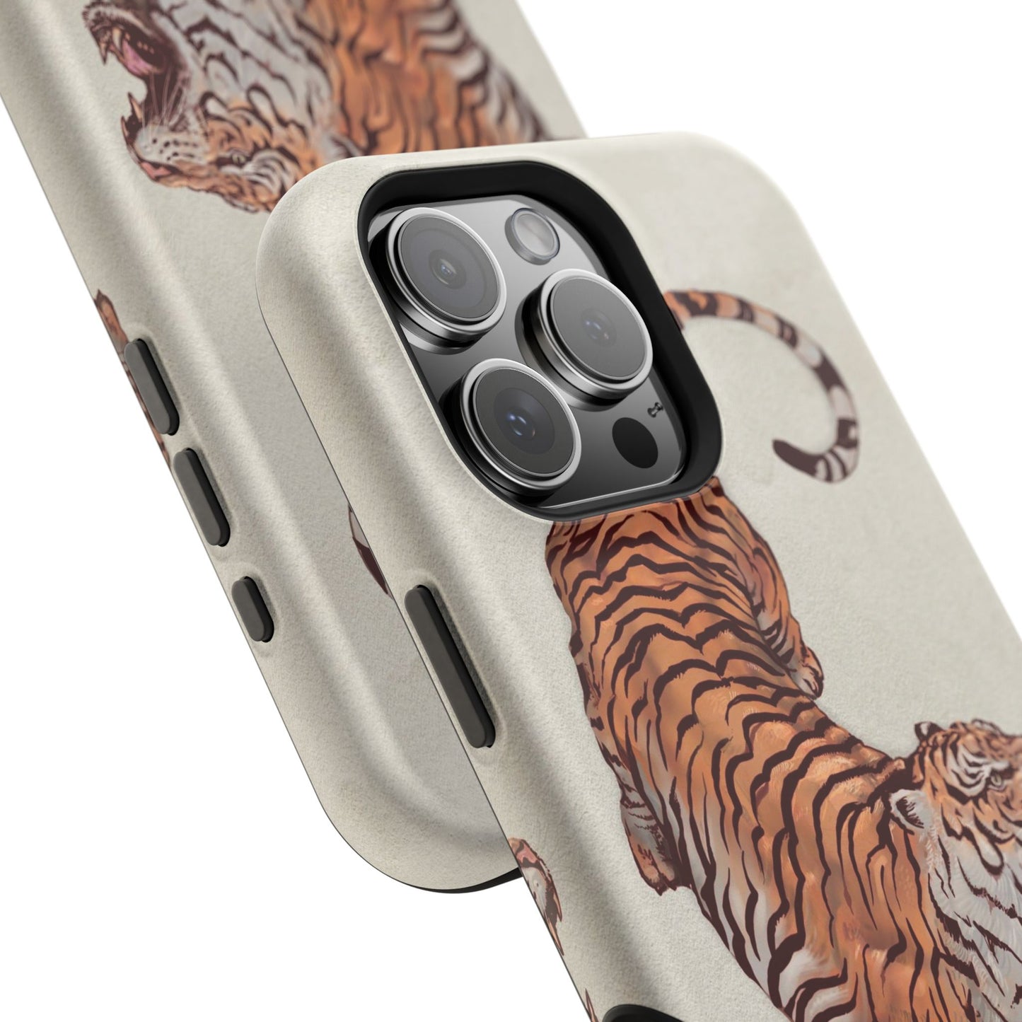 3ye of the Tiger Case
