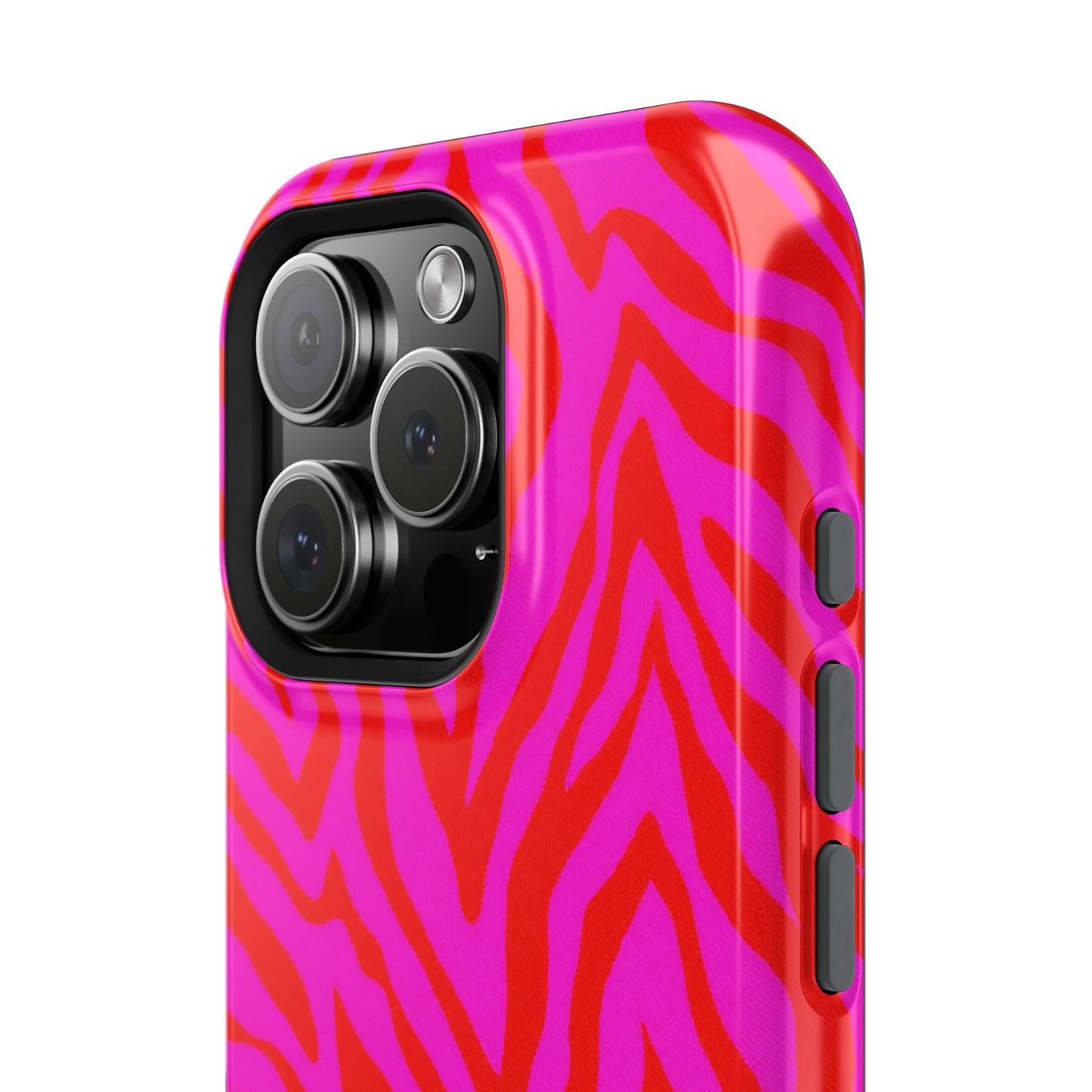 Circus Zebra Case