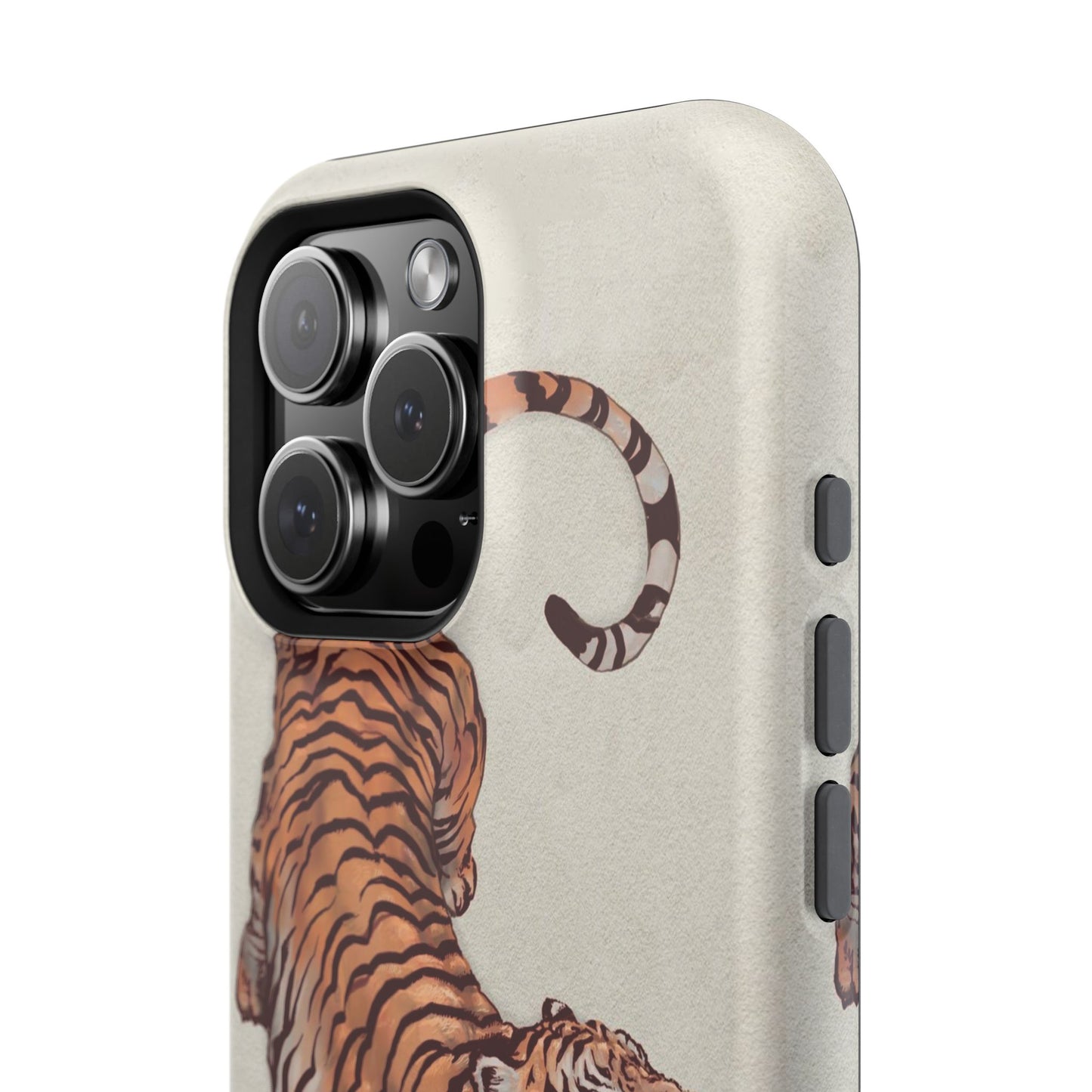 3ye of the Tiger Case