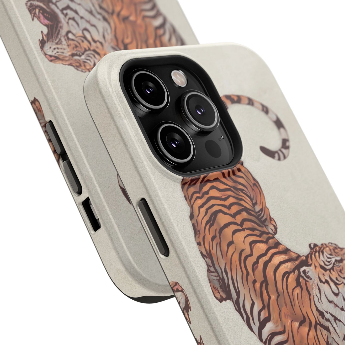 3ye of the Tiger Case