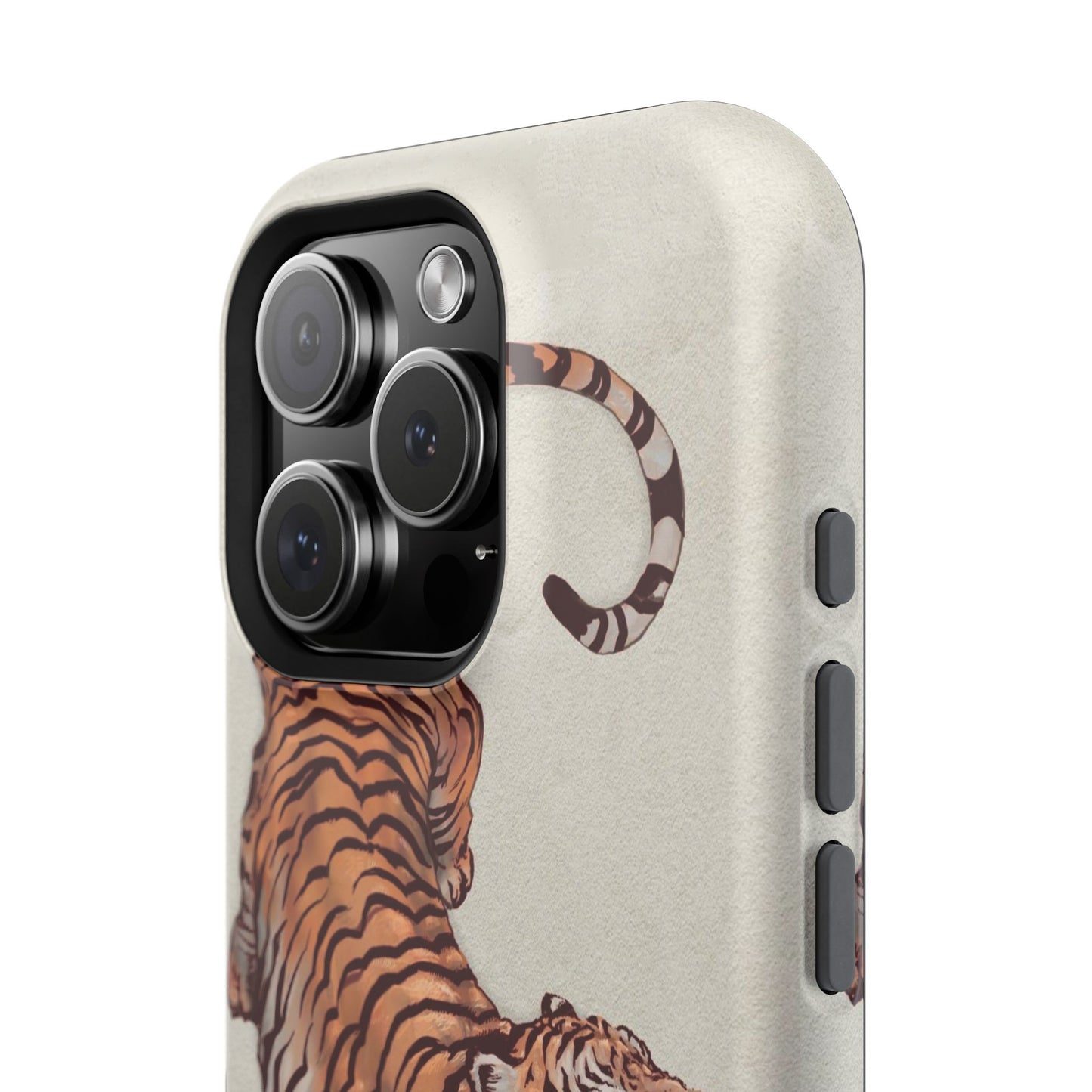 3ye of the Tiger Case