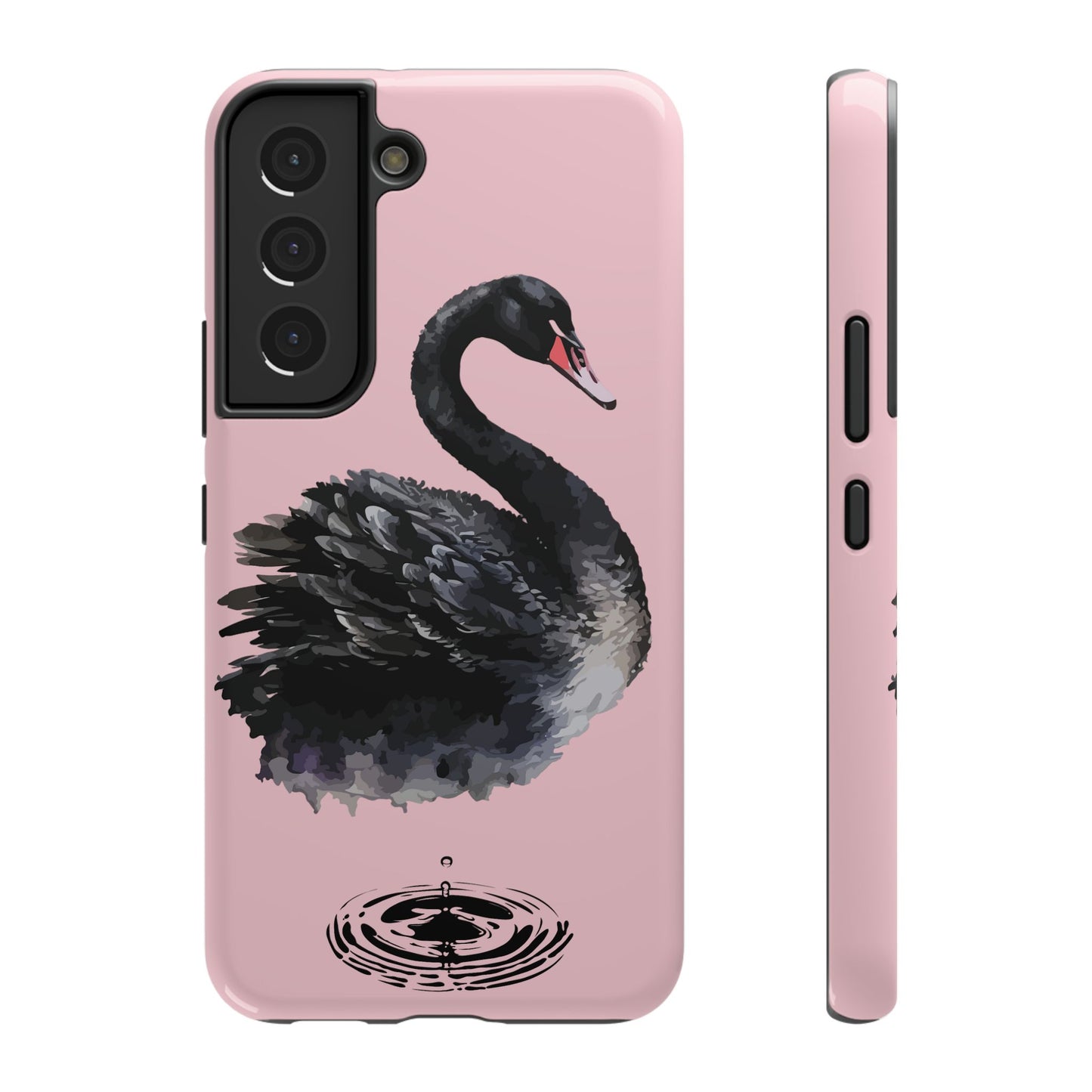 The Black Swan Case